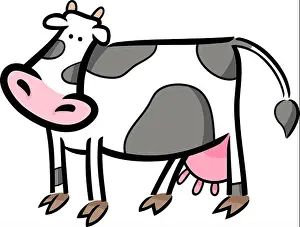 Hoof Prints: cartoon doodle illustration of cute farm cow