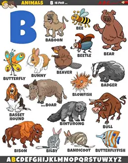 Badger Prints: Cartoon illustration of animal characters set for letter B