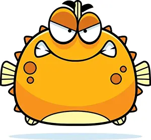 Spines Prints: A cartoon illustration of a blowfish looking angry