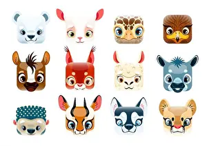 Raccoon Prints: Cartoon kawaii square animal faces