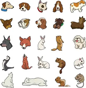 Scratching Prints: cartoon vector random animal collection
