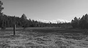 Beauty Of Nature Prints: Cascade Mountains Meadow black and white