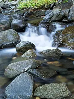 Flowing Water Prints: The cascading water of Lightning Creek located in north Idaho