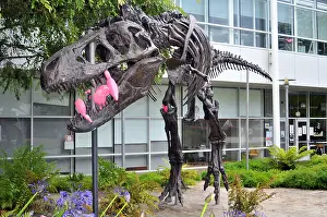 Silicon Prints: Cast of a Tyrannosaurus Rex skeleton at the Googleplex