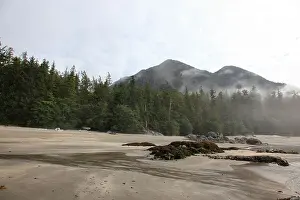 Extraordinary Prints: Catface mountain with a sandy beach in front at low tide on a foggy morning in July old growth trees near Tofino BC