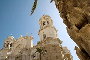 Cadiz Prints: Cathedral facade and palm tree, Andalusia, Cadiz, Spain