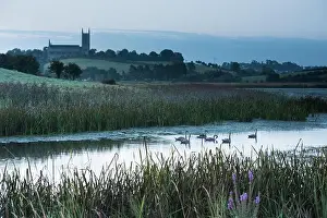 Abbey Prints: Down Cathedral from River Quoile at Inch Abbey