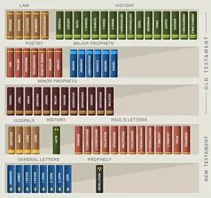 New Life Prints: Catholic bible books collection History