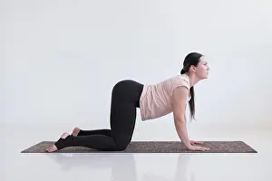 Flexible Prints: Caucasian woman doing yoga asana bitilasana cow or cat pose for gentle warm up for spine