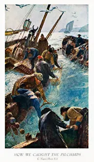 How We Caught The Pilchards 1895 painting by C Napier Hemy of Cornish fishermen gathering in their catch