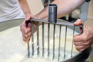 Curd Prints: cauldron with the curdled milk brought to high temperature for the production of cheese in the dairy company