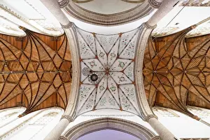 Ribbed Prints: The ceiling of the St Bavo Church in Haarlem