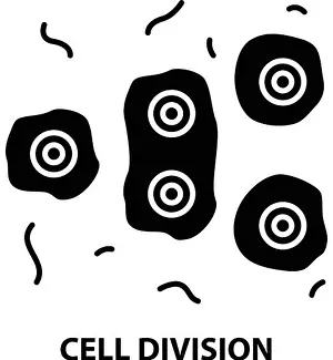 Replication Prints: cell division icon, black vector sign with editable strokes, concept illustration