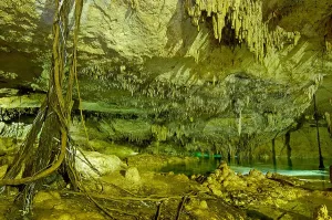Karst Prints: Cenote. Hidden Worlds Cenotes park