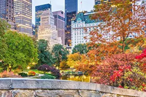 Central Park during autumn in New york City