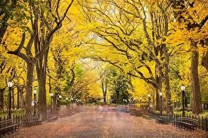 Images Dated 4th November 2016: Central Park at The Mall in New York City during autumn