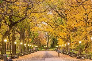 Central Park at The Mall in New York City during autumn