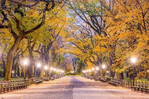 Central Park at The Mall in New York City during autumn dawn