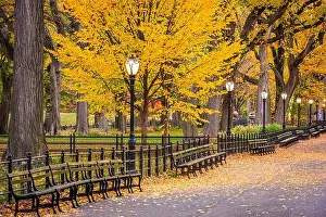 Central Park at The Mall in New York City during autumn dawn