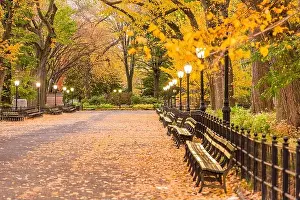 Central Park at The Mall in New York City during autumn dawn