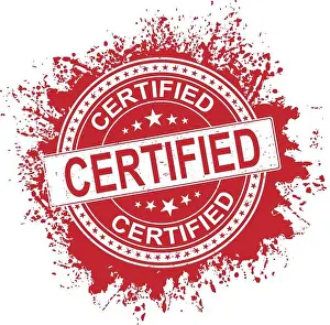 Checked Prints: Certified red rubber stamp icon isolated on white background. Vector illustration