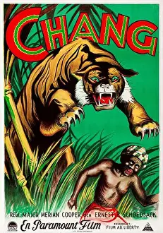 1927 Prints: Chang - A Drama of the Wilderness (Paramount, 1927). Swedish movie poster