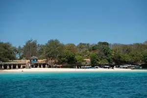 Tanzania Prints: Changuu Island, Zanzibar, Tanzania