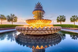 Charleston, South Carolina, USA at the Waterfront Park Pineapple Fountain