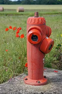 Hydrant Prints: Charras in France: red poppies next to a red fire hydrant
