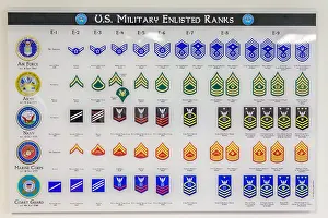 Ribbons Prints: Chart showing US Military enlisted personnel rank information