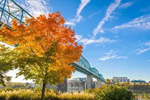 Chattanooga, Tennessee, USA during fall season at Walnut Street Bridge