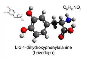 Hydrogen Prints: Chemical formula, skeletal formula and 3D ball-and-stick model of l-DOPA