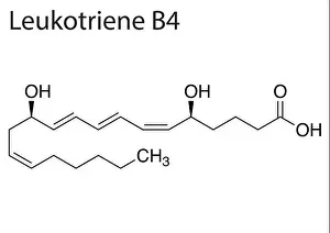 Hormone Prints: A Chemical formula structure of Leukotriene B4 on white background
