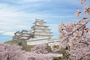 Images Dated 10th April 2017: Cherry blossom flowers and Himeji castle in Himeji, Hyogo, Japan