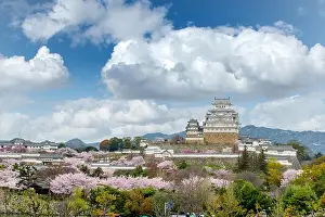 Osaka Prints: Cherry blossom flowers season with Himeji castle in Himeji city, Hyogo near Osaka, Japan