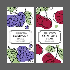 CHERRY AND GRAPE Label Templates Design Of Stickers For Shop Of Tropical Organic Natural Fresh Juicy Fruits Wine And Dessert Drinks In Vintage Vector