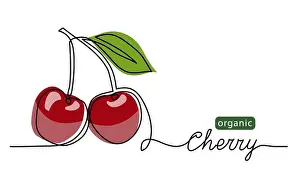 Continuous Prints: Cherry vector illustration. One line drawing art illustration with lettering organic cherry