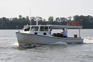 Haze Prints: Chesapeake Bay Workboat Catching Crabs
