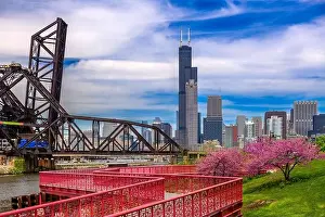 Chicago, Illinois, USA park and downtown skyline in spring
