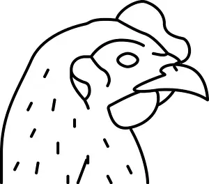 Crocodile Prints: chicken animal zoo line icon vector illustration