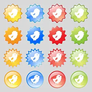 Alive Prints: chicken, Bird icon sign. Set from fourteen multi-colored glass buttons with place for text