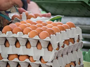 Poison Prints: Chicken eggs from the farm