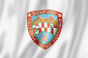 City District Prints: Chihuahua state flag, Mexico waving banner collection