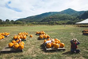 Freckles Prints: Child looking around pumpkin patch