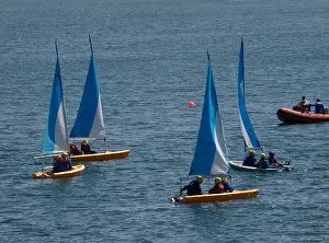 Sails Prints: Children learning to sail at the Mount Batten Centre, Plymouth, UK 2013