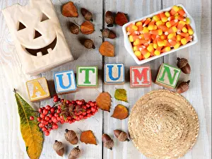 Childrens Prints: Childrens blocks spelling out Autumn on rustic wooden boards The word is surrounded by leaves