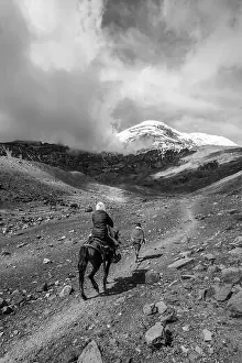 Southamerica Prints: Chimborazo