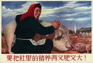 Politics Prints: China: The Hogs of the Commune Must be Raised to be Fat and Big