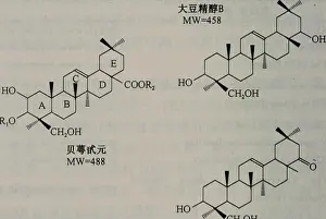 Compounds Prints: This Chinese text focuses on the methods and applications of botany
