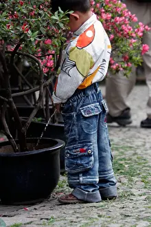 Flower Pot Prints: A Chinese youth uses a flowerpot as a urinal in a park